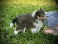 processed/237748fd-edf3-41e0-936c-fa17778e7cb1/listing/d3b7f8be-b33c-4cd8-b56f-65a33c335dd0/b0317189-6ae7-4680-8b8d-d461495dab73