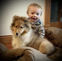 processed/237748fd-edf3-41e0-936c-fa17778e7cb1/listing/d3b7f8be-b33c-4cd8-b56f-65a33c335dd0/f8c82349-8453-48f2-b788-6b7ce4081d00