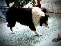 processed/237748fd-edf3-41e0-936c-fa17778e7cb1/listing/df0716b4-d70c-49fa-bc63-73a0a5d6bb29/7aa16bfb-e84e-40c6-81fa-2ca170458931