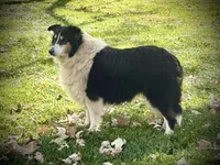 processed/237748fd-edf3-41e0-936c-fa17778e7cb1/listing/df0716b4-d70c-49fa-bc63-73a0a5d6bb29/faf78c2d-0830-4ee4-8cb0-d150c027e9ee