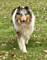 processed/237748fd-edf3-41e0-936c-fa17778e7cb1/listing/fcdb1555-3bb8-4ce0-9976-3711662b35f1/f8f5ef20-a5e6-4d77-9dea-c29dd0b5c062