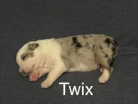 processed/237cf2a5-14a4-49c6-a96e-58479468bf30/listing/37a40378-f253-431f-b7e9-d9910a09acd9/558f4992-7c19-49cc-b934-615bbdb0d53e