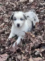 processed/237cf2a5-14a4-49c6-a96e-58479468bf30/listing/37a40378-f253-431f-b7e9-d9910a09acd9/9d6bc871-dd7a-46af-80f9-c6e62c8d8e22