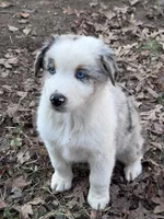 processed/237cf2a5-14a4-49c6-a96e-58479468bf30/listing/37a40378-f253-431f-b7e9-d9910a09acd9/aab4dca5-e7eb-46ea-b38d-50e63c9f0756