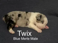 processed/237cf2a5-14a4-49c6-a96e-58479468bf30/listing/37a40378-f253-431f-b7e9-d9910a09acd9/ab3f4043-12c4-4e17-9f35-d052d51493cc