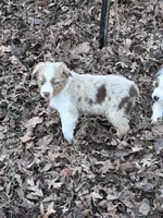 processed/237cf2a5-14a4-49c6-a96e-58479468bf30/listing/68787ea9-83d5-4cbe-b6bc-13dee574ef9e/4d574311-1b43-42d0-bab8-3f9fe8326f5a