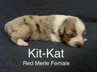 processed/237cf2a5-14a4-49c6-a96e-58479468bf30/listing/68787ea9-83d5-4cbe-b6bc-13dee574ef9e/7876ba8a-c450-4f2e-980a-03efcb2d7257