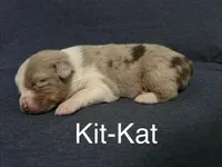 processed/237cf2a5-14a4-49c6-a96e-58479468bf30/listing/68787ea9-83d5-4cbe-b6bc-13dee574ef9e/9d27c766-a2b2-4891-88c8-5fccca419cd2