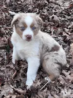 processed/237cf2a5-14a4-49c6-a96e-58479468bf30/listing/68787ea9-83d5-4cbe-b6bc-13dee574ef9e/e3eb2267-f1f9-4057-9e64-903782947aaa