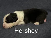 processed/237cf2a5-14a4-49c6-a96e-58479468bf30/listing/7ae0234e-03e3-4fca-b8f8-808c5819b4db/2a042fd8-32d5-47ad-b568-090a3349e17a