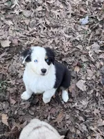 processed/237cf2a5-14a4-49c6-a96e-58479468bf30/listing/7ae0234e-03e3-4fca-b8f8-808c5819b4db/54842253-2a60-4065-bfbb-4fcc3815501d