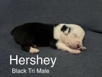 processed/237cf2a5-14a4-49c6-a96e-58479468bf30/listing/7ae0234e-03e3-4fca-b8f8-808c5819b4db/c110fdfd-08c8-4343-9d23-d2c349c63b07