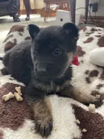 processed/237e4d61-6b57-430d-a955-69e0f4fa67f4/listing/42021c01-94d0-4b80-94a1-089de4fe5980/11c18d76-81d5-4989-8aee-9ba312d65a08