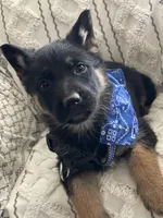 processed/237e4d61-6b57-430d-a955-69e0f4fa67f4/listing/42021c01-94d0-4b80-94a1-089de4fe5980/786fd1f6-0d3d-4c62-84d3-e913e4900c0d