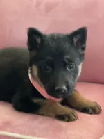 processed/237e4d61-6b57-430d-a955-69e0f4fa67f4/listing/faa02be0-e271-41d0-b1aa-091e2816e50f/52b4ac21-cf61-4ee9-9cb5-8eb62beff386