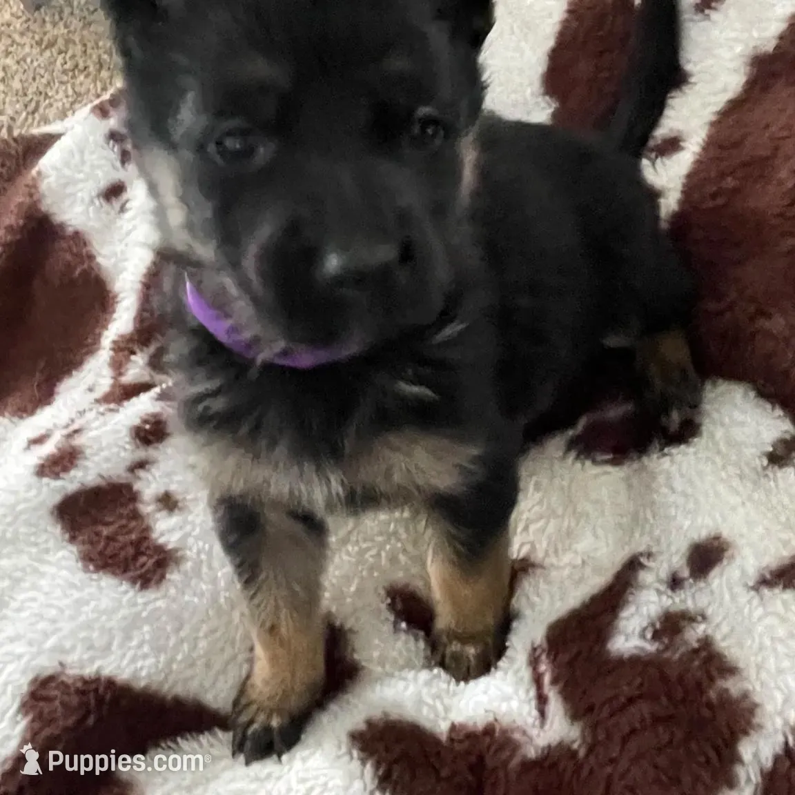 processed/237e4d61-6b57-430d-a955-69e0f4fa67f4/listing/faa02be0-e271-41d0-b1aa-091e2816e50f/ba6ec9d6-52af-44f9-9cf9-f2ea3162fb54