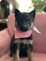 processed/237e4d61-6b57-430d-a955-69e0f4fa67f4/listing/faa02be0-e271-41d0-b1aa-091e2816e50f/c6256515-fdbe-4d11-84a9-eb93349013ae