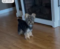 processed/2385e971-9815-4a36-9b2c-14a870ba294b/listing/217ec2b8-ac7c-48d9-b772-48fab861b153/5692ca95-6543-43ee-8cc2-e7ba40065d04