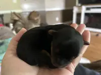 processed/2385e971-9815-4a36-9b2c-14a870ba294b/listing/217ec2b8-ac7c-48d9-b772-48fab861b153/5741a2bb-e991-4490-b810-82cb22382f02