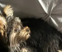 processed/2385e971-9815-4a36-9b2c-14a870ba294b/listing/217ec2b8-ac7c-48d9-b772-48fab861b153/7059f292-480d-4818-aa72-b2e46c06787f