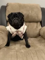 processed/238ea9b9-9a38-4635-8c99-f7f8f959bc89/listing/1219fb16-e69e-43ee-af54-7cd2c57917bf/394378b7-493c-4004-abd8-d02e29c3a6ee