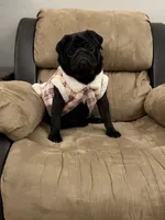 processed/238ea9b9-9a38-4635-8c99-f7f8f959bc89/listing/1219fb16-e69e-43ee-af54-7cd2c57917bf/8484c49d-d7e8-4c0f-a204-7b91161c43b4