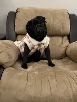 processed/238ea9b9-9a38-4635-8c99-f7f8f959bc89/listing/1219fb16-e69e-43ee-af54-7cd2c57917bf/ed46ad9e-644a-499b-bb37-69bc994f83e2