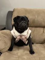 processed/238ea9b9-9a38-4635-8c99-f7f8f959bc89/listing/1219fb16-e69e-43ee-af54-7cd2c57917bf/f613174e-be7e-42b7-aa27-9b3eabc3ecab