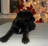 processed/238ea9b9-9a38-4635-8c99-f7f8f959bc89/listing/1e0b6fc5-cff6-4df2-8154-4a758655aaca/50c1523f-d295-4f67-909d-8223ca33dbf1