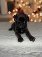 processed/238ea9b9-9a38-4635-8c99-f7f8f959bc89/listing/1e0b6fc5-cff6-4df2-8154-4a758655aaca/6a46026c-eb52-4348-bf00-68a00ddc97f4