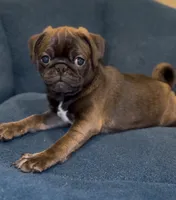 processed/238ea9b9-9a38-4635-8c99-f7f8f959bc89/listing/1e0b6fc5-cff6-4df2-8154-4a758655aaca/88400d24-f7be-46d9-a3d5-6b6ec3b8410c