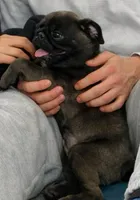 processed/238ea9b9-9a38-4635-8c99-f7f8f959bc89/listing/1e0b6fc5-cff6-4df2-8154-4a758655aaca/a2a0e55c-61b4-4b21-aff7-58a9823a61e1