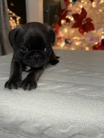 processed/238ea9b9-9a38-4635-8c99-f7f8f959bc89/listing/1e0b6fc5-cff6-4df2-8154-4a758655aaca/af82f8f0-6b28-4c57-a3ff-35a5974659f6