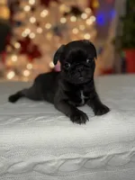 processed/238ea9b9-9a38-4635-8c99-f7f8f959bc89/listing/1e0b6fc5-cff6-4df2-8154-4a758655aaca/f0ebd3ef-1f23-4f60-8479-2b7544b14420