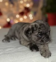 processed/238ea9b9-9a38-4635-8c99-f7f8f959bc89/listing/3d92d547-e0a8-4bf2-8c30-d07176f9db41/17a76841-39a4-4513-add6-8be7587eb41e