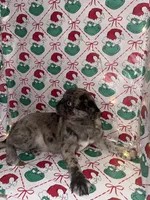 processed/238ea9b9-9a38-4635-8c99-f7f8f959bc89/listing/3d92d547-e0a8-4bf2-8c30-d07176f9db41/5f14d6a9-0cbf-408d-9a23-79fd925cf3ff