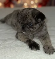 processed/238ea9b9-9a38-4635-8c99-f7f8f959bc89/listing/3d92d547-e0a8-4bf2-8c30-d07176f9db41/74fd023b-421e-4431-94a6-425cc8ef4044