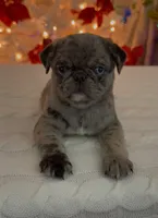 processed/238ea9b9-9a38-4635-8c99-f7f8f959bc89/listing/3d92d547-e0a8-4bf2-8c30-d07176f9db41/aae1cb4f-8ce5-4c25-8f92-b15db043267b