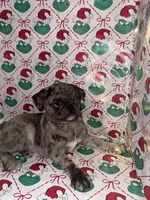 processed/238ea9b9-9a38-4635-8c99-f7f8f959bc89/listing/3d92d547-e0a8-4bf2-8c30-d07176f9db41/b40d5602-77dd-41b4-b5ed-b8e9c330910c