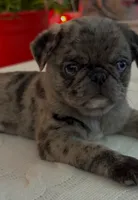 processed/238ea9b9-9a38-4635-8c99-f7f8f959bc89/listing/3d92d547-e0a8-4bf2-8c30-d07176f9db41/d4139cf8-8fae-473d-8f26-f2100343c80f