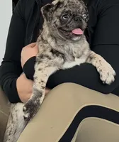 processed/238ea9b9-9a38-4635-8c99-f7f8f959bc89/listing/3d92d547-e0a8-4bf2-8c30-d07176f9db41/f2d23f32-f3a8-4781-b271-551a3d1a1cdf