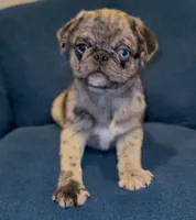 processed/238ea9b9-9a38-4635-8c99-f7f8f959bc89/listing/3d92d547-e0a8-4bf2-8c30-d07176f9db41/fb188df7-d388-483b-b562-9f0484e00c08