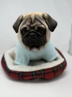 Theodore , a male Pug for sale in Skokie, IL – Photo 3 of 5