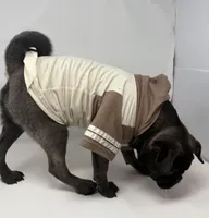 Hopper, a male Pug for sale in Skokie, IL – Photo 4 of 5