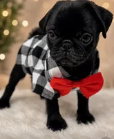 Chase, a male Pug for sale in Skokie, IL – 5 of 9