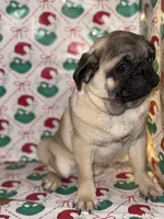 processed/238ea9b9-9a38-4635-8c99-f7f8f959bc89/listing/e948dd8e-29b3-48ad-8166-9c16b6268258/8e58c4e7-5c31-4a5f-b15b-7f4022f60161