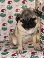 processed/238ea9b9-9a38-4635-8c99-f7f8f959bc89/listing/e948dd8e-29b3-48ad-8166-9c16b6268258/ac315e9d-eacd-4506-92e6-1a8274072103