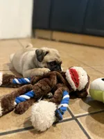 processed/238ea9b9-9a38-4635-8c99-f7f8f959bc89/listing/e948dd8e-29b3-48ad-8166-9c16b6268258/b3f1e24c-038f-4537-89a0-1433c8abe821