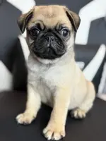 processed/238ea9b9-9a38-4635-8c99-f7f8f959bc89/listing/e948dd8e-29b3-48ad-8166-9c16b6268258/c8228b2c-9123-4e51-a78c-f5452dea86d5