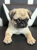 processed/238ea9b9-9a38-4635-8c99-f7f8f959bc89/listing/e948dd8e-29b3-48ad-8166-9c16b6268258/fde68436-ec4d-4821-bf9f-08e4a20c13fa